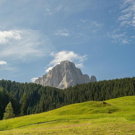 Villa Insam Selva di Val Gardena Kültér fotó