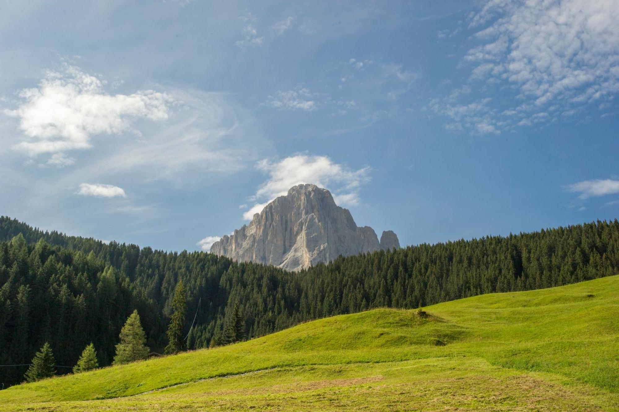 Villa Insam Selva di Val Gardena Kültér fotó