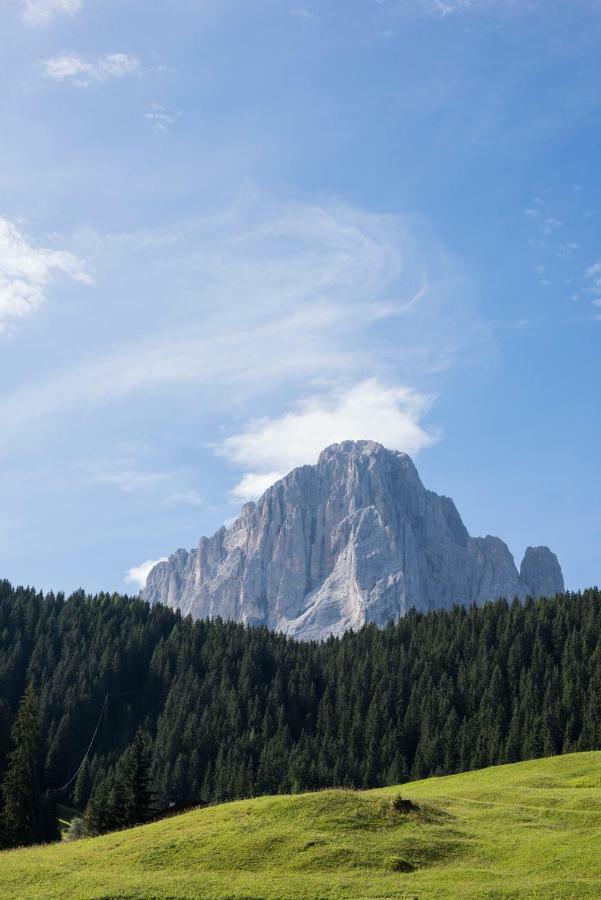 Villa Insam Selva di Val Gardena Kültér fotó